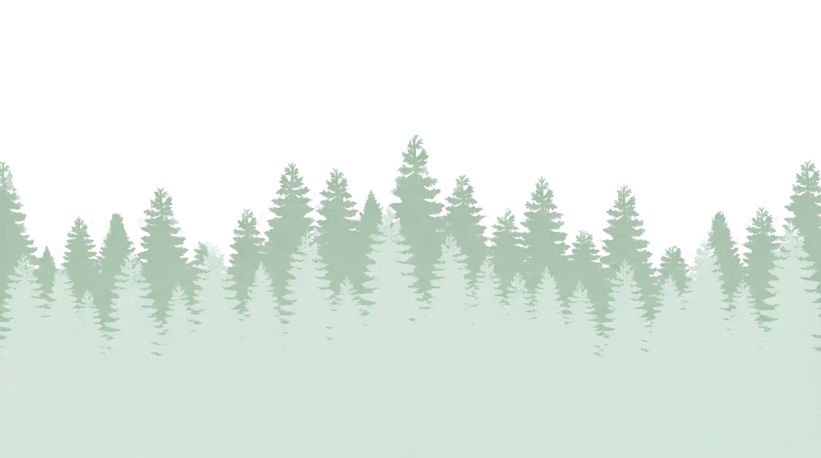 Silhouette von Bäumen und Wald am unteren Bildrand